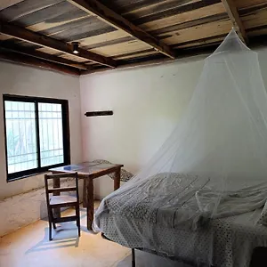 Lodge Chez Gigi - Eco