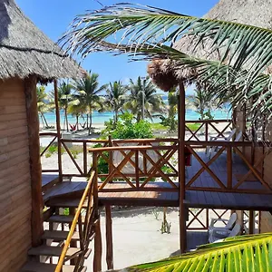 Lodge Palmeras De